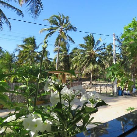 Villa Dos Coqueirais Icarai  Ngoại thất bức ảnh