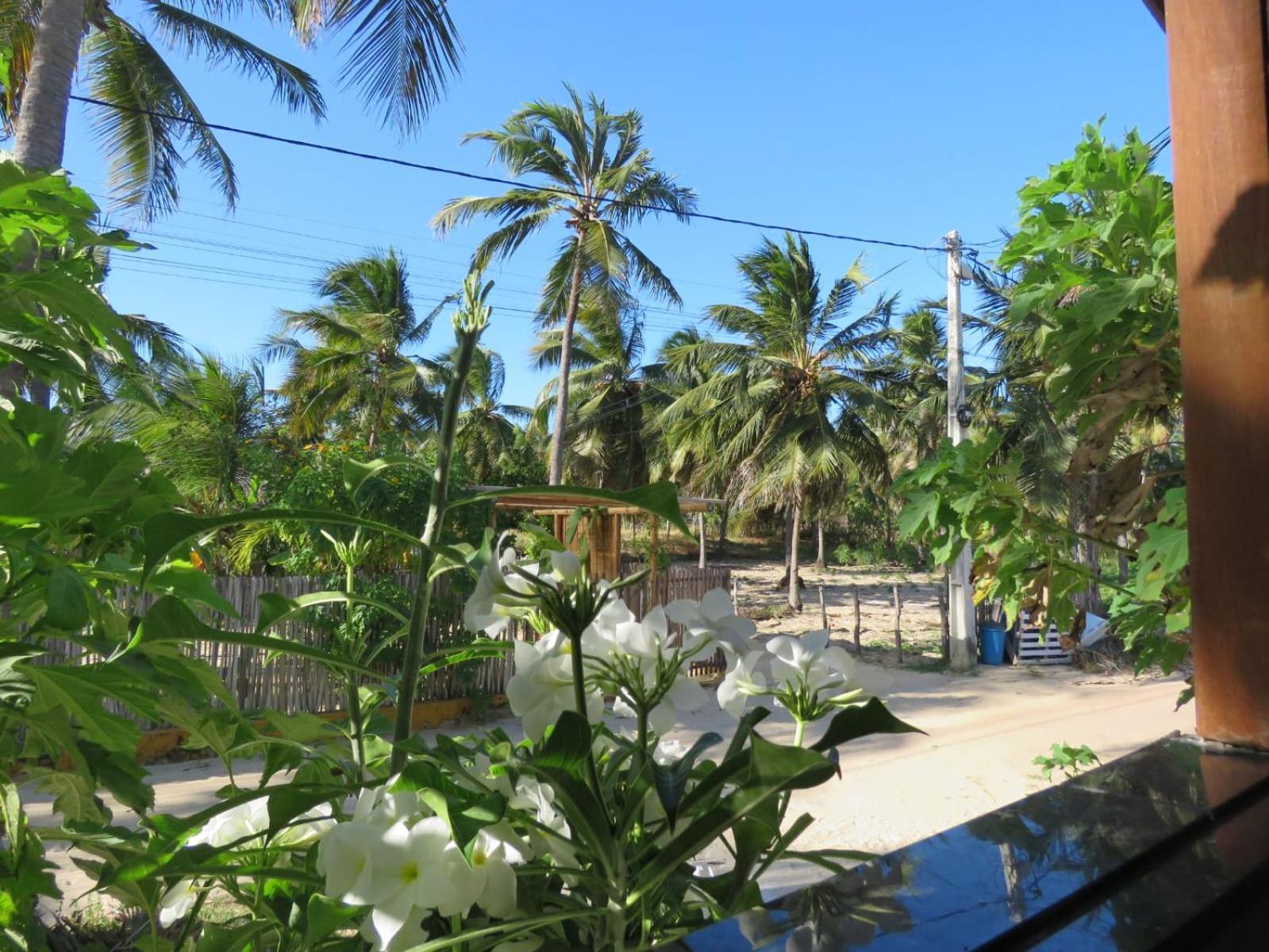 Villa Dos Coqueirais Icarai  Ngoại thất bức ảnh